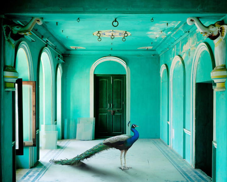 Karen Knorr , The Queen's Room, Zanana, Udaipur City Palace, 2010