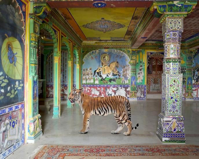 Arjuna's Path, Junha Mahal, Dungarpur, 2014, 	48 x 60 inch archival pigment print