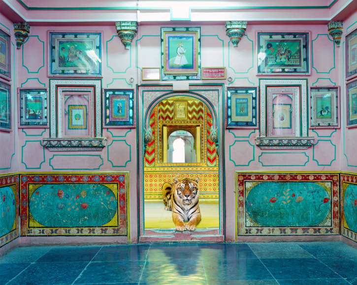 Interloper, Sheesh Mahal, Udaipur City Palace, 2019, 23.5 x 30 inch pigment print - Edition of 5