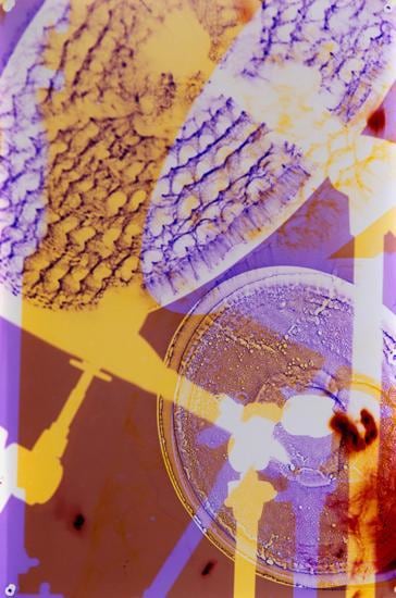 Soundscape 7, 2015