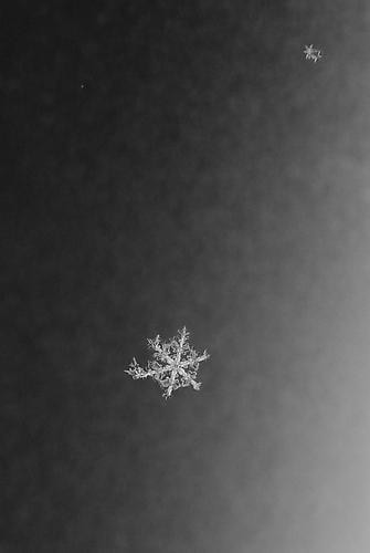 Yuji Obata. Homage #8.  23.5 x 16.5 inch pigment print.