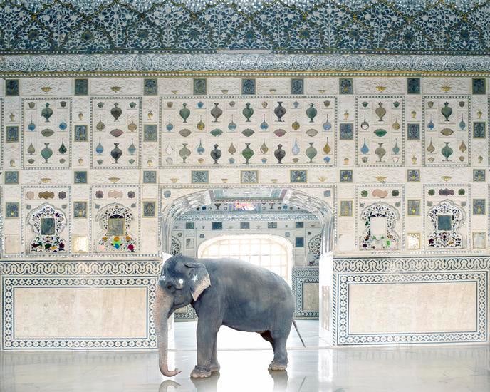 Temple Servant, Amber Fort, Jaipur 2014, 	48 x 60 inch archival pigment print