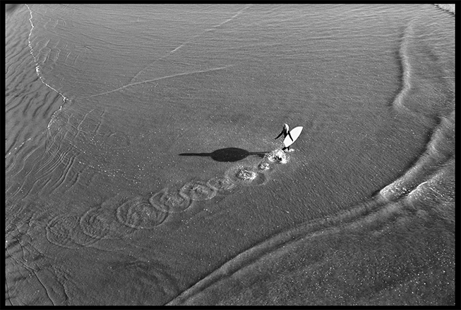 Ed Templeton