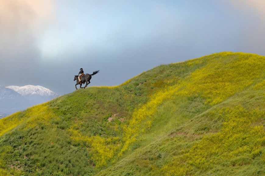 Jim Krantz, Frontier No. 8, 2019 - 2025