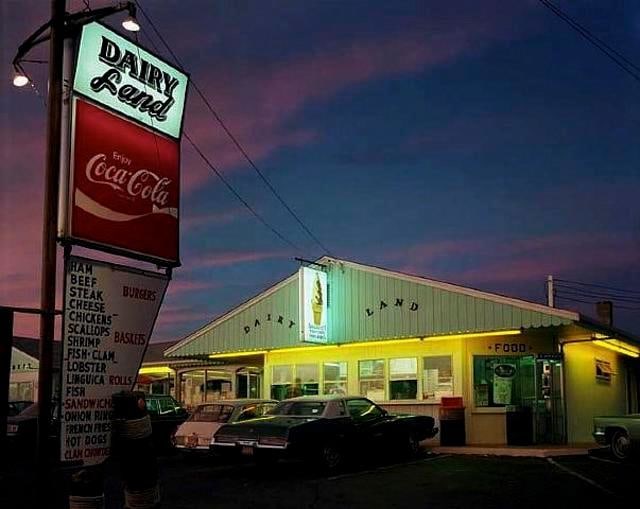 JOEL MEYEROWITZ