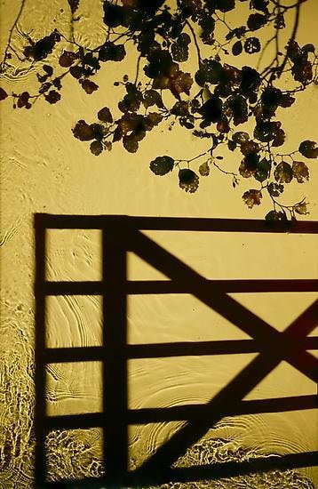 Entrance, 2012, 	60" x 39" 