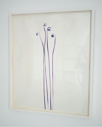 Adam Fuss Fiddlehead Fern, 2006