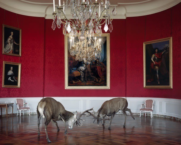 The King's Reception, 2006, 	26 x 30 inch pigment print