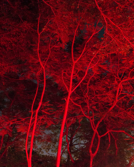 Untitled, 2017-2018, 30 x 20 inch archival pigment print