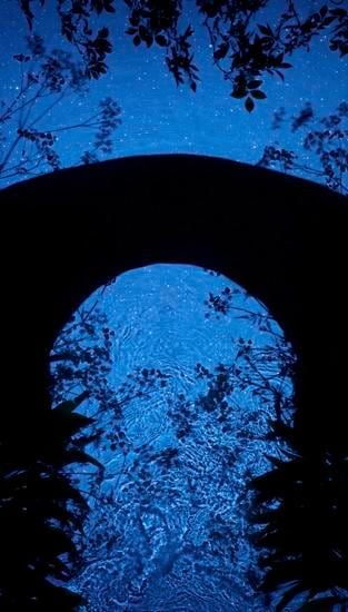 Susan Derges, Star Field Bridge, 2013