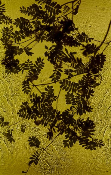 Rowan Brook 3, 2013, 30 x 19 inches