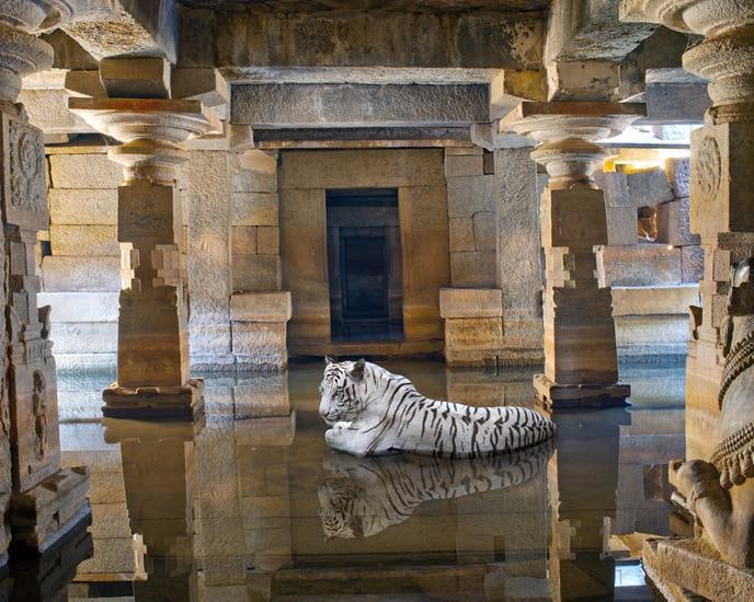 Karen Knorr, Bakhti and the Path of Saints, Shiva Temple, Hampi, 2012