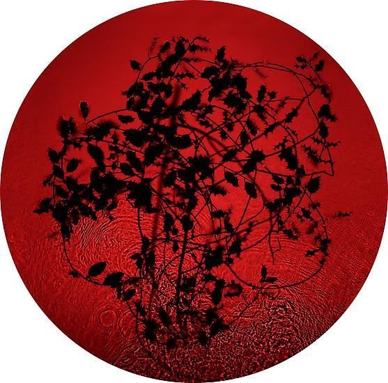Holly, 2013, 	24" x 24" 