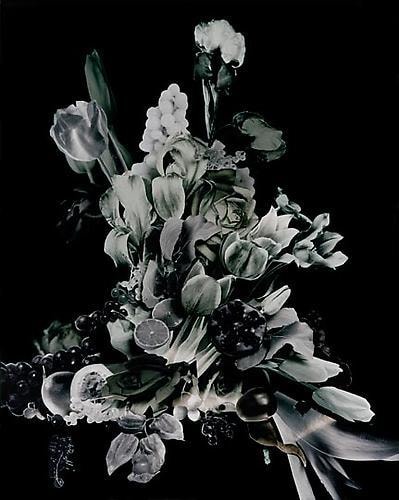 Scheltens and Abbenes. Bouquet III. 2008. 48 x 40 inch Enduraflex print.