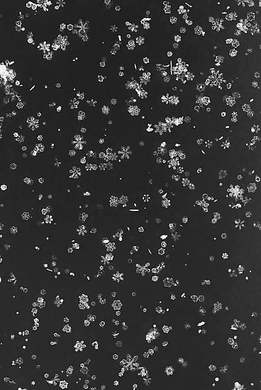  Yuji Obata, 	Homage to Wilson A. Bentley, #1, 2005-2006