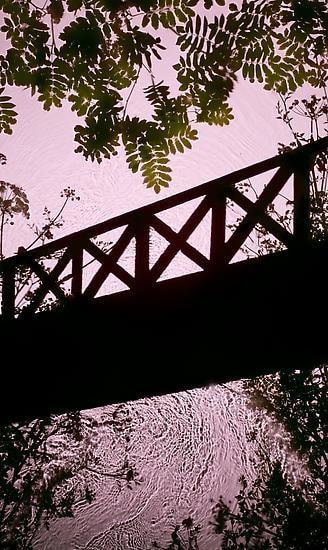 Rowan Bridge, 2013, 	60" x 36" 