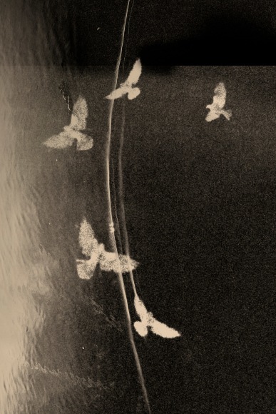 In Transit, 2019&nbsp;, 15.4 x 11 inches