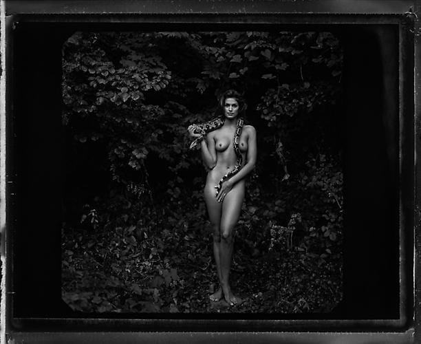 Annie Leibovitz. Cindy Crawford.  1993 / printed 2009.