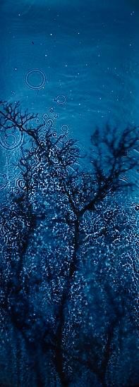  Susan Derges, 	Star Field Norse, 2003