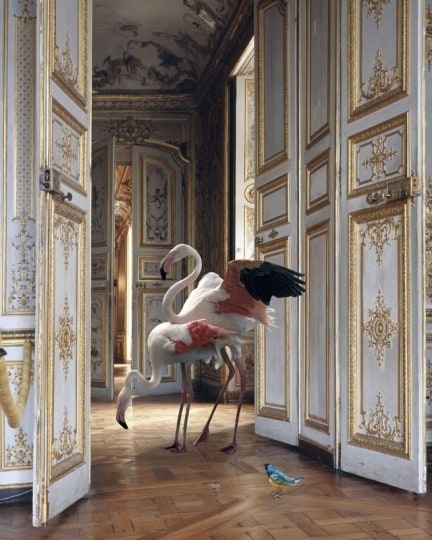 The Grand Monkey Room (2), 2006, 	26 x 30 inch pigment print