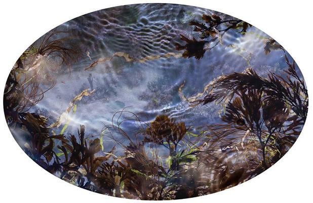 Tide Pool 39. 2015, 	Unique C-Print. 19.5 x 30"