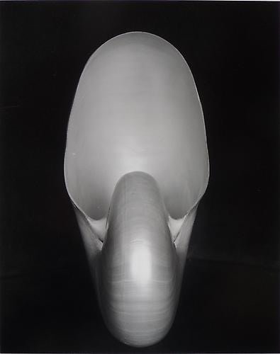 Shell, 1927.