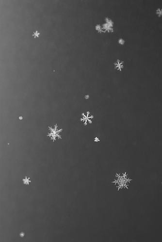 Yuji Obata. Homage #2.  23.5 x 16.5 inch pigment print.