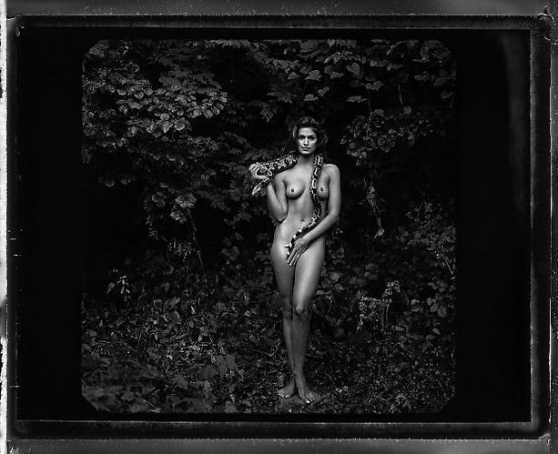 Annie Leibovitz. Cindy Crawford.  1993 / printed 2009.  Pigment print.  20 x 24 inches.