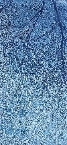 Susan Derges. Passage.