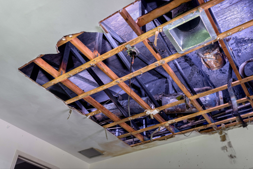  Harry Griffin, 	Master Bedroom, 2016&nbsp;