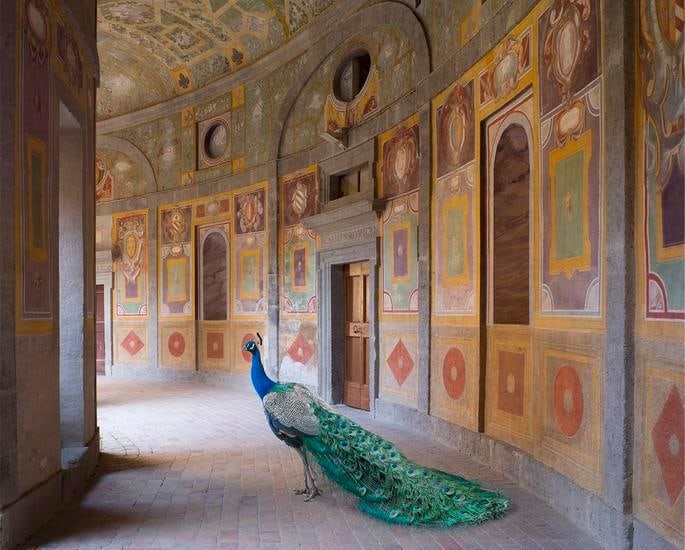 Heaven's Vault Villa Farnese, Caprarola, 	23.5 x 30 inch archival pigment print