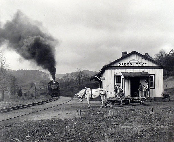 Maude Bows to Virginia Creeper, Green Cove, VA, 1956