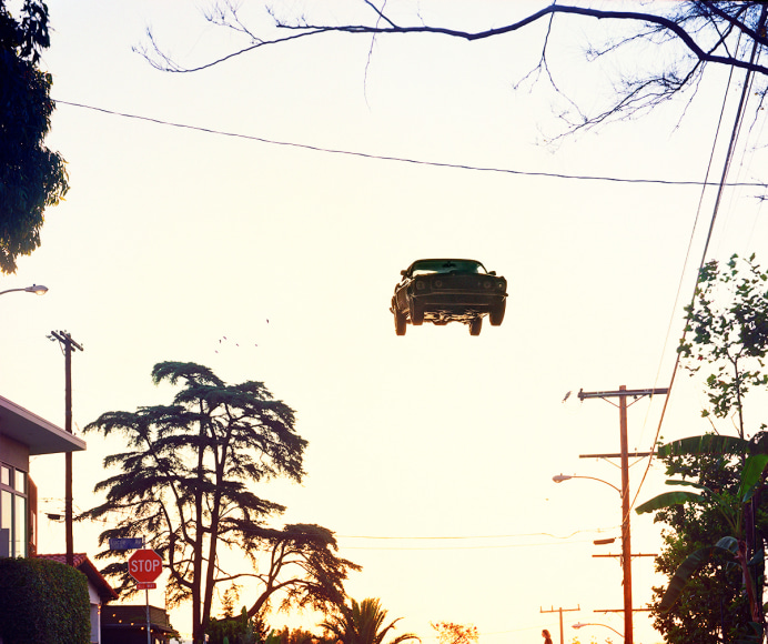 Matthew Porter, Valley Oak, 2019&nbsp;