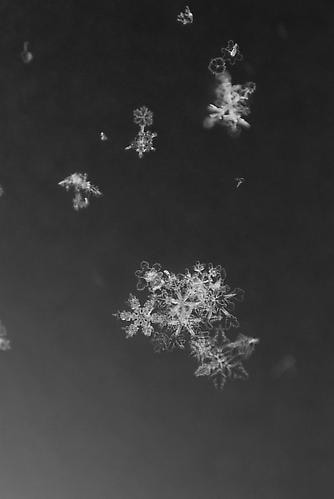 Yuji Obata. Homage #3.  23.5 x 16.5 inch pigment print.