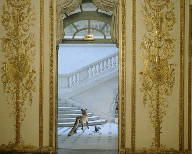 Ledoux's Reception, 2004