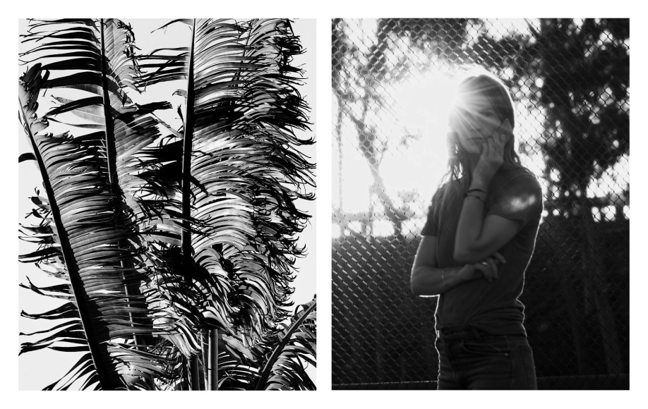 Matthew Porter, Left: Shredded Fronds, 2020 