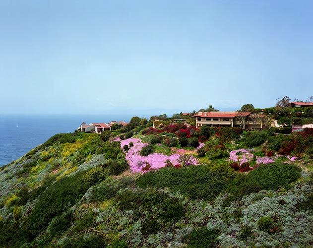 Untitled (#1), 1998