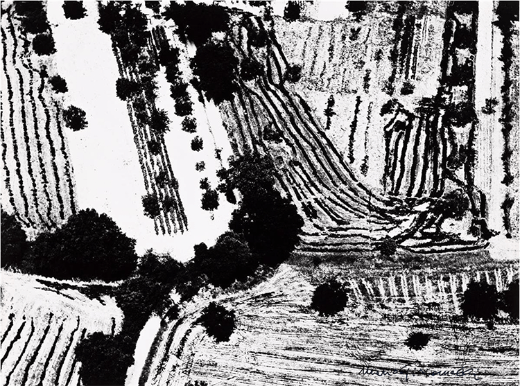 Mario Giacomelli , Presa di Coscienza Sulla Natura (Epiphany about Nature #4), 1974. 