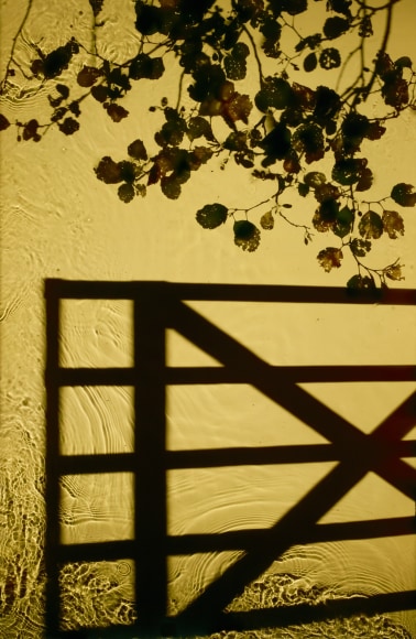 Entrance, 2012, 60 x 39 inch digital c-print