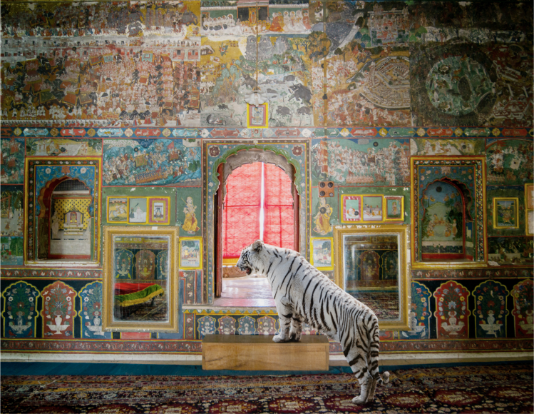 Karen Knorr, Guarding Honour, Kota City Palace, Kota, 2020