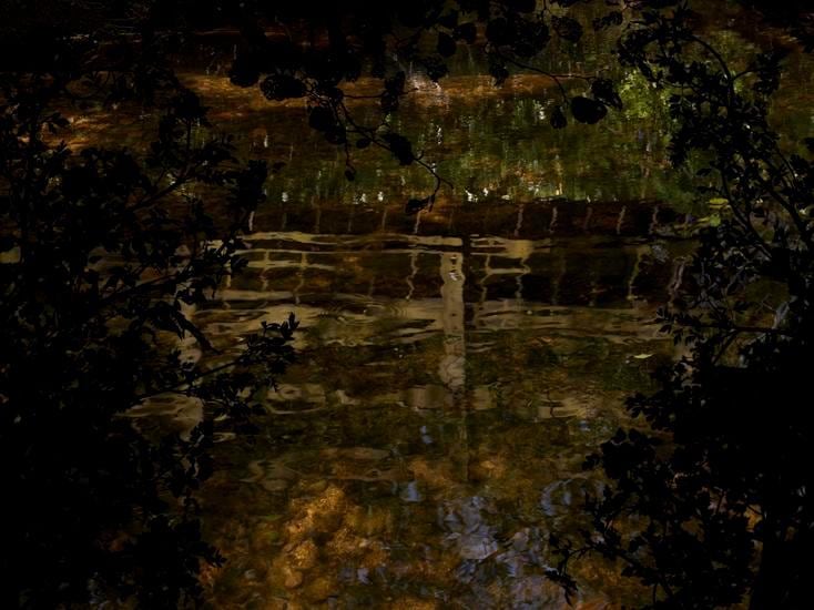 Water Drop Wort Bridge, 2013, 42 x 60 inch digital c-print
