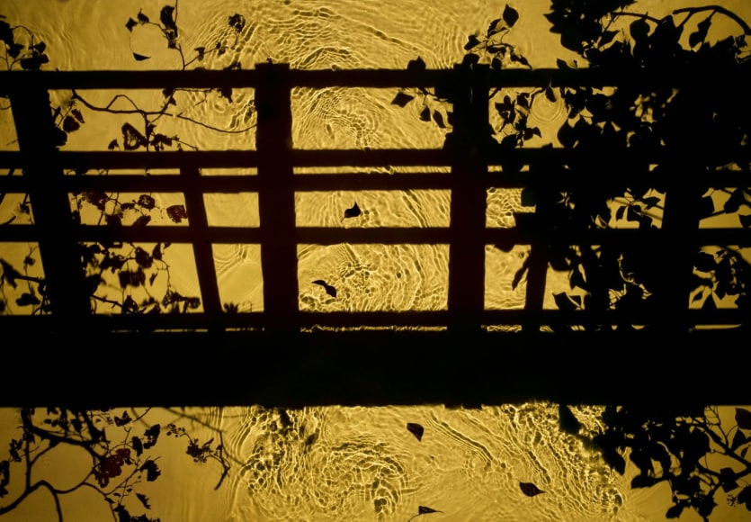 Morning Crossing, 2013, 42 x 60 inch digital c-print