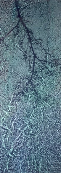 River Taw Blackthorn 2020, 67 x 25.4 inches