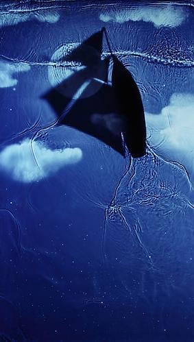 Susan Derges. Passage.