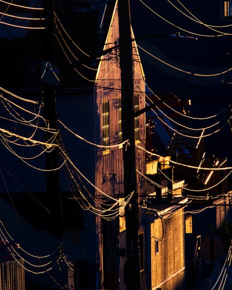 Matthew Porter, Tangle, 2020