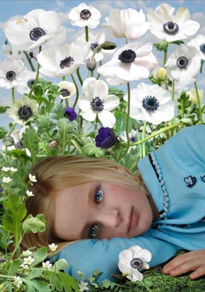 Dawn #4, 2008, 23.5 x 33 inches