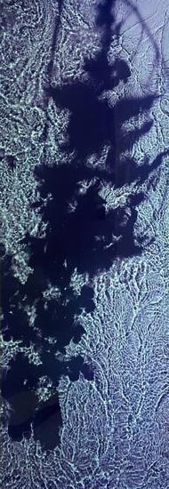 River Taw (II).  1998 - 1999