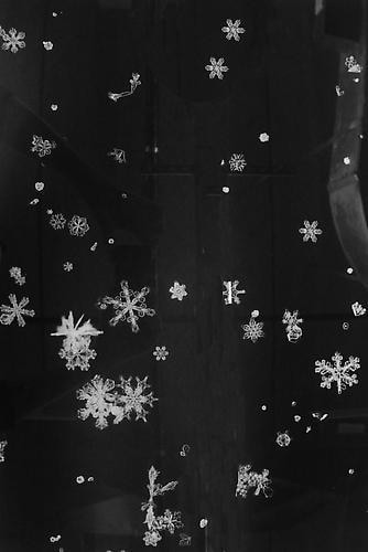 Yuji Obata. Homage to Wilson A. Bentley #11. 2005-2006.