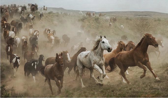 Jim Krantz, 	Epic Western No. 35, 2017