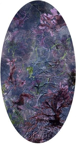 Tide Pool 30. 2015, 	Unique C-Print. 48 x 25"